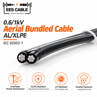 Câble jumelé ABC 0,6/1 kV 2 conducteurs 16 mm² isolé XLPE, conducteur en aluminium, pour installation aérienne, pour le Ghana