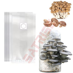 ถุงเพาะเห็ดแบบอบฆ่าเชื้อได้ ขนาด 25*14*65 ซม. หนา 0.08 มม. ทำจากพลาสติก PP พร้อมแผ่นกรองสำหรับเพาะเลี้ยง - Product Image 1