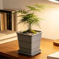 Pots de fleurs carrés légers de style moderne, de haute qualité, avec trou de drainage, en matériau PP durable, pour jardin suspendu et pépinière