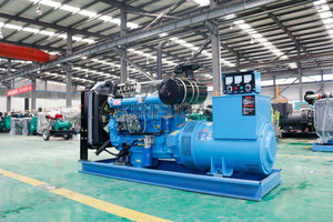 Générateur diesel industriel à longue durée de vie pour les champs pétrolifères et les chantiers de <span class=keywords><strong>construction</strong></span> en Irak et en Algérie - Product Image 5