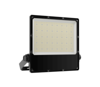 Nuevo molde privado 30W 50W 80W 100W LED Luz de inundación Carcasa de aluminio SMD Chips IP66 Garantía nominal de 5 años Alto CRI 80 Regulable
