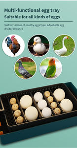 WONEGG Meilleure vente Petite couveuse automatique pour 10 œufs <span class=keywords><strong>de</strong></span> poule, caille, canard, dinde - Product Image 4