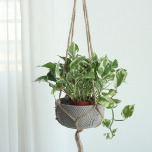 Jardinière suspendue en ciment naturel d'intérieur au design moderne, support de corde pour <span class=keywords><strong>balcon</strong></span>, <span class=keywords><strong>kit</strong></span> de décoration pour jardin et maison en forme de panier inclus - Product Image 3