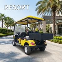 Voiturette de golf électrique à 4 roues avec batterie au lithium, moteur de 3,5 kW et vitesse de 30-50 km/h, couleur et logo personnalisables en option, pour clubs de golf