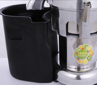 220V/110V Rvs Groente En Fruit Juicers Voor Thuis/Elektrische Citruspers Rvs