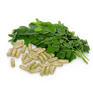 Capsules d'extrait de feuilles de Moringa Oleifera, complément alimentaire à base de plantes, extrait naturel de plante verte, qualité alimentaire - Product Image 1
