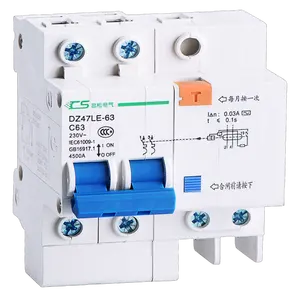 Electric DZ47LE RCBO 63A 2 Pole Residual Current Circuit Breaker with Over Current Leakage Function