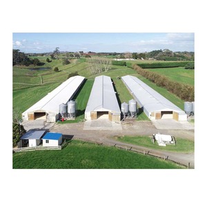 Prix usine poulet <span class=keywords><strong>maison</strong></span> plans de construction structure en acier claire portée poulaillers à vendre - Product Image 1