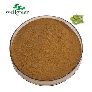 ISO Factory Supply 100% naturale Senna Fruit Powder 2.2% Sennosides Senna Pods Powder