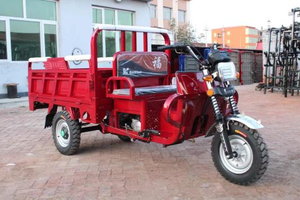 Triciclo de 200cc Más Vendido, Carro de Tres Ruedas con Carrocería Abierta/Cerrada para 2 Pasajeros - Product Image 4