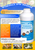 Additifs alimentaires liquides probiotiques pour animaux, complément pour la santé intestinale du bétail, volailles, porcs, bovins, ovins, nutrition OEM