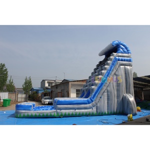 PVC Thế giới nước bơm hơi: nhà máy tùy chỉnh Tấm bạt lò xo + trượt nhiệt đới + bể bơi nhiệt độ không đổi - Product Image 5