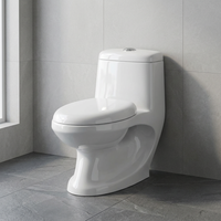 WC monobloc en céramique de qualité export, à chasse directe, avec abattant, design à poser au sol