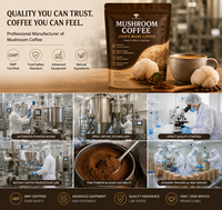 Poudre de café aux champignons, mélange de café Lion's Mane, café fonctionnel instantané aux champignons, étiquette privée OEM