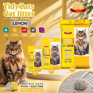 Litière pour chat en bentonite de forme riz cassé, minerai concassé, naturelle, à base de sodium, anti-adhérente, agglomération rapide, sable pour chat - Product Image 1