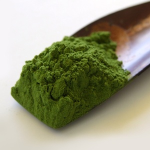 Té verde Matcha puro 100% de alta calidad certificado <span class=keywords><strong>Macha</strong></span> japonés Matcha en polvo té de grado ceremonial <span class=keywords><strong>Macha</strong></span> - Product Image 3