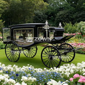 Carro Fúnebre Sofisticado con Acabado Artesanal, Vehículo Funerario de Atractivo Visual Distintivo para Trabajos Conmemorativos Internacionales de Alto Nivel - Product Image 5