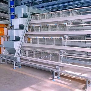 Capa de huevo de batería tipo A de alta tecnología Nuevo acero Jaulas Para Pollos Equipo agrícola Precio de fábrica para granjas avícolas - Product Image 1