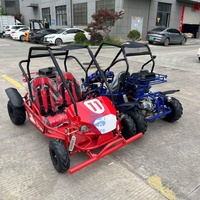 Kart tout-terrain avec freins à disque et phares LED, kart de course pour adultes, deux places pour enfants, buggy à essence 110cc