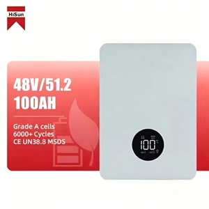 Hisun 51.2V 100Ah 壁掛け式LiFePO4バッテリー 5.12kWh 大容量スマートBMS 家庭用太陽光発電蓄電バックアップ電源 - Product Image 1