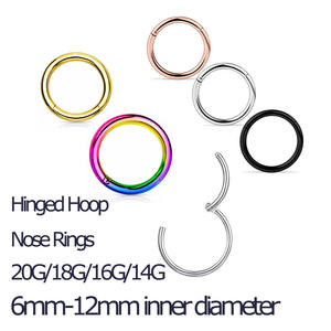 Anillo Segmentado Articulado de Acero Inoxidable 316L 16G, Aro Simple sin Costuras para Nariz, Oreja, Labio, Septum, Joyería de Moda para <span class=keywords><strong>Piercing</strong></span> - Product Image 2