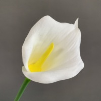 Jy-0038 Fleur artificielle Calla Lily à double tête sur tige unique, taille moyenne, à 2 fleurs, pour décoration de mariage, de maison et d'arrangements en vase