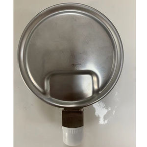 เครื่องวัดความดันแคปซูลต่ำ mBar <span class=keywords><strong>100</strong></span>สแตนเลส<span class=keywords><strong>100</strong></span>มม. - Product Image 2