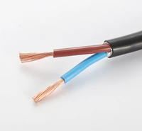 Câble d'alimentation professionnel flexible à 2 conducteurs 1,0 mm² en cuivre sans oxygène RVV, gaine ignifuge 300V/500V