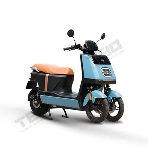 70KM/H Fast speed 3000W three wheel motor vehicle two front wheels motorcycle with 2 large battery