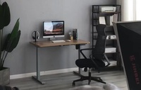 Grossiste d'usine Emballage intégral de bureau d'ordinateur debout à moteur unique avec levage de hauteur avec bureau en MDF de 47 "x 24"