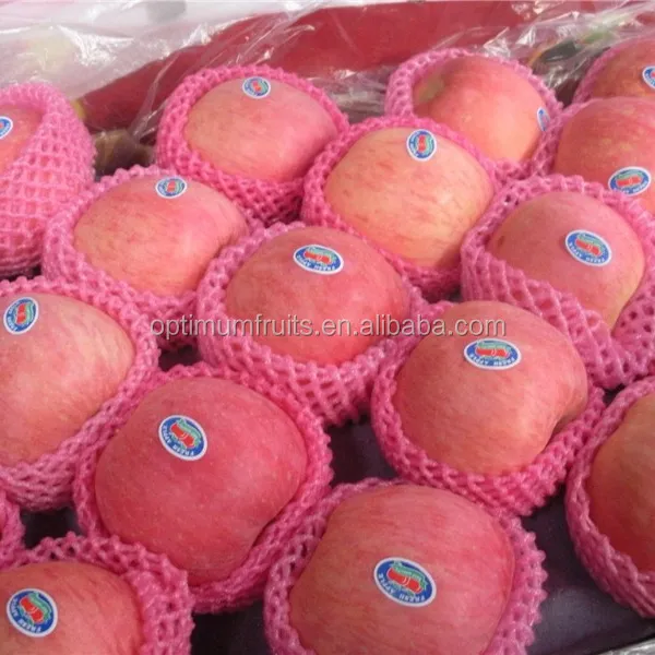 Fresh red fuji apple fruit fresh natural fresh apple manufacturers