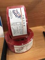 RUITIAN Fire Resistant WIre 2,5mm Kupfer leiter PVC-isolierte Beleuchtung Haushalts kabel