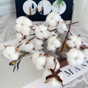 <span class=keywords><strong>Tiges</strong></span> de fleurs séchées artificielles en <span class=keywords><strong>coton</strong></span> en gros pour la décoration du salon, décorations florales de Noël pour la maison - Product Image 4