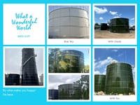 Erstklassiges Glas mit Stahl verschraubtem Wassersp eicher tank/Emaille-Montagetank/Silos