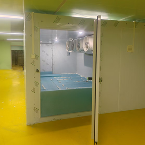 Chambre froide de plain-pied pour la maturation des bananes et l'exposition des légumes, type conteneur frigorifique solaire de 20 pieds pour la conservation du poisson - Product Image 5