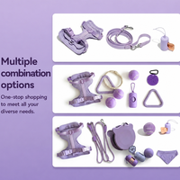 Nouvel ensemble d'accessoires pour chien personnalisé avec logo sur mesure, gamelle portable de luxe en PVC néoprène, harnais et laisse pour chien