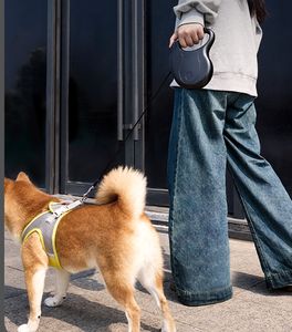 8M 50kg correa retráctil automática de nylon para perros cachorros viajes al aire libre caminar senderismo cuerda de tracción collares para mascotas para cómodo - Product Image 6