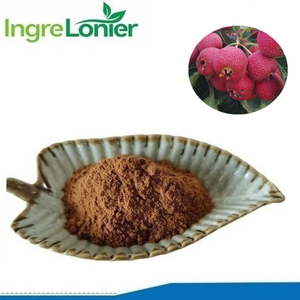 サンザシ果実エキスサンザシベリーパウダーCrataegus Oxyacanthaパウダー - Product Image 2