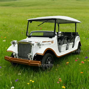 Voiture électrique vintage personnalisée à prix abordable, design rétro homologué pour la route, véhicule de tourisme classique - Product Image 1