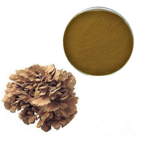 Pasokan pabrik kualitas terbaik bubuk ekstrak frondoa grifola besar untuk minum - Product Image 5