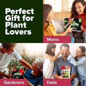 Kit de jardin d'intérieur de luxe de style campagnard, pots carrés en terre cuite pour cactus et <span class=keywords><strong>bonsaï</strong></span>, supports suspendus, décoration pour la maison, salle de plantation - Product Image 5