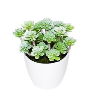 Planta Artificial Personalizada en Maceta, Productos al por Mayor, Maceta Personalizada para Escalada en Pared, Maceta Creativa para Oficina, Maceta para Suculentas - Product Image 3