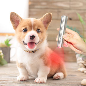 Ideatherapy handy TL09-A 630:660:850nm充電式赤色光療法ワンド赤色光療法トーチペットと人間の痛みの緩和 - Product Image 6