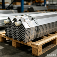 Cornière en acier inoxydable ASTM 304 à côtés égaux, UNS S30400, 20*20-150*150mm, antirouille, pour installation extérieure