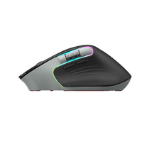 Souris de jeu ergonomique avec molette latérale, capteur haute précision 3212, rétroéclairage RGB, récepteur USB, câble Type-C, rechargeable sans fil