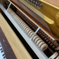 Premium Young Chang U121BFS Vertical Piano - Carved Wooden Home Piano