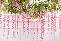 Nouvelle fleur artificielle en plastique de glycine à haute densité, fleur de glycine suspendue pour salon, décoration murale