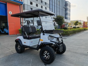 Voitures de golf EEC L6E en gros, 2 places, batterie au lithium, voiture de golf de rue - Product Image 1