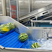 Ligne de production de jus de fruits entièrement automatique clé en main, extracteur de jus, stérilisation UHT, remplissage aseptique, 10 tonnes
