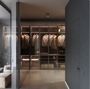 Armoire de chambre à coucher au design moderne, personnalisée, organisateur de meubles, armoire en verre, armoire, dressing avec éclairage - Product Image 4